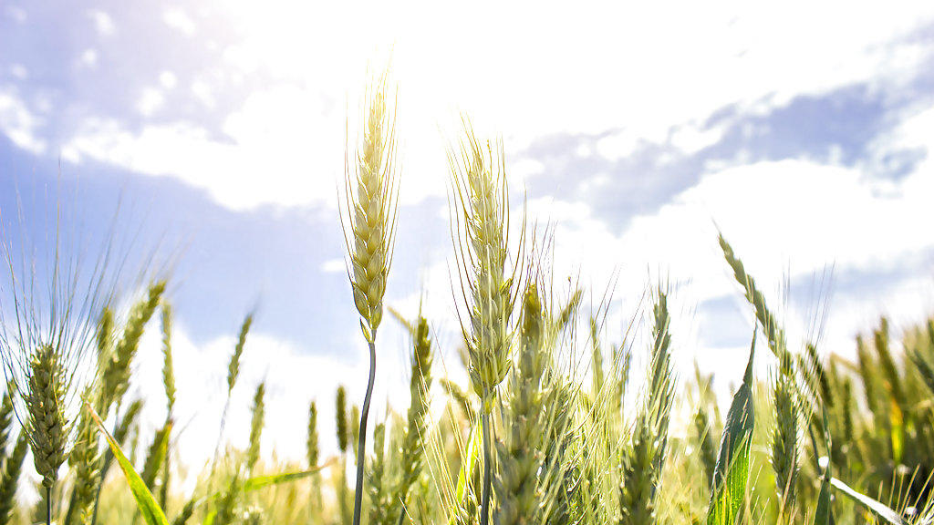 328-raffinesse-travel-istanbul-agricultural-visit