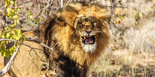 def3460a070404a1f695614d6ba61308