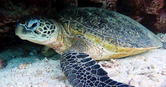 36120-e80b1d3f-b5bc-43f9-aa75-0b761e8cb39a-thumbnail