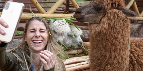 71c8b27a6c5081cce26d60b6c084b950