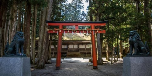 fd5a4c2e704e796ad30fb711eaec1c6b