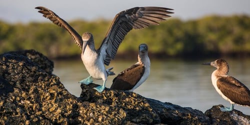 57003ed346cbde420306d87bbe90cb6d