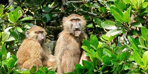 fef8c6d5ac359c425330f227b99c95d7