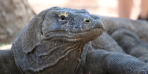 a5916e6b53e962f49efa7689b463d4aa