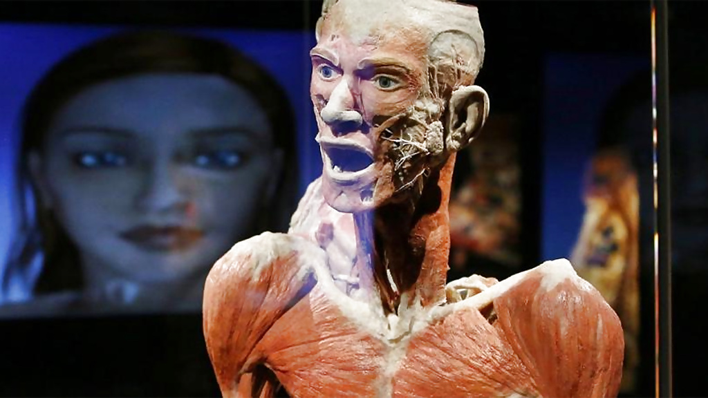 amsterdam-body-worlds