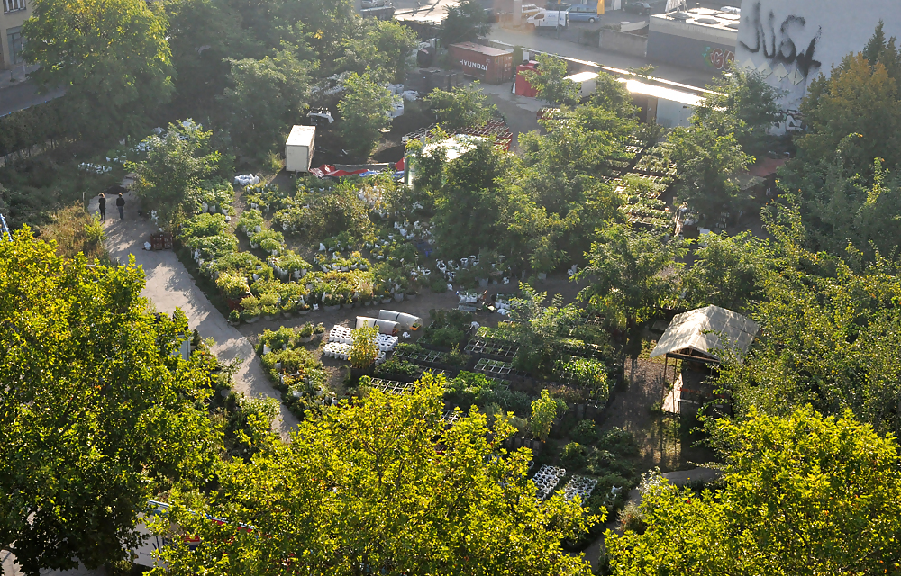 1957-the_prinzessinnengarten_in_berlin_-_guided_garden_tour