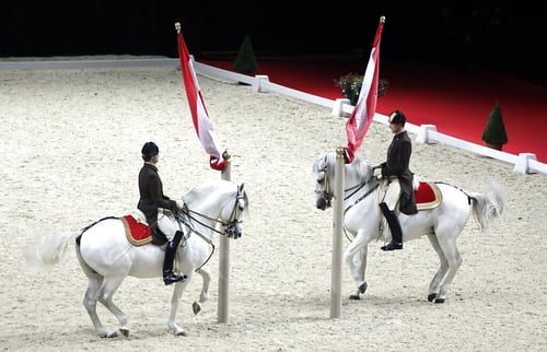 2007-uberland-spanish_riding_school