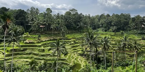 1d56f7a718881f477bd323720a32b105