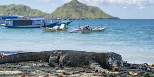 2503b9a225a513fa1a8f87d476eb7658