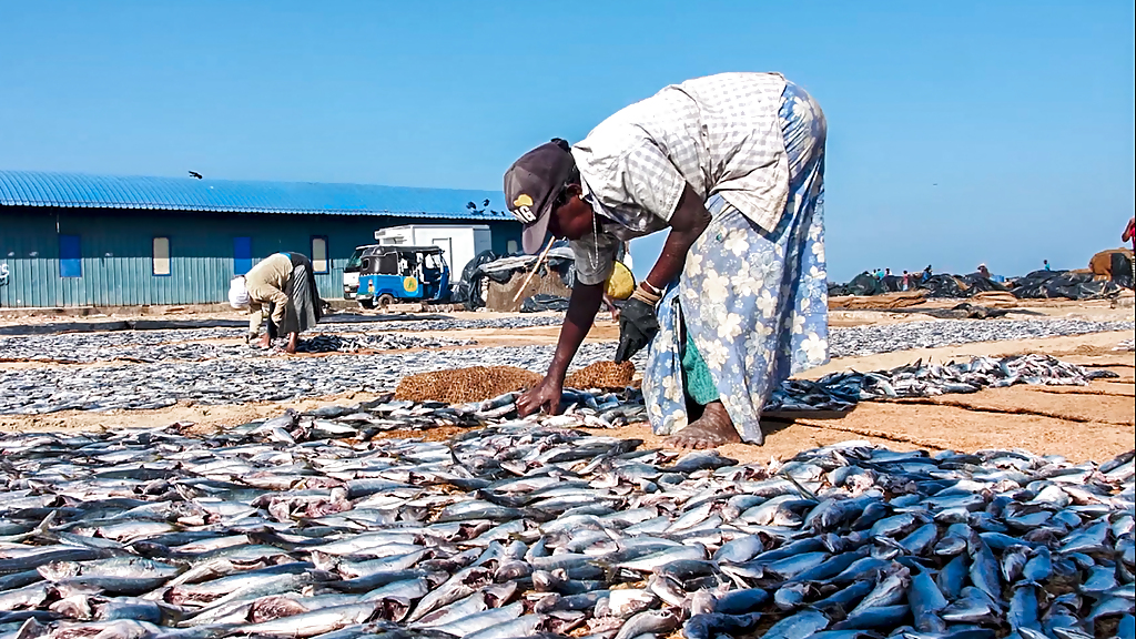 lellama_1280x720_for_navi_web