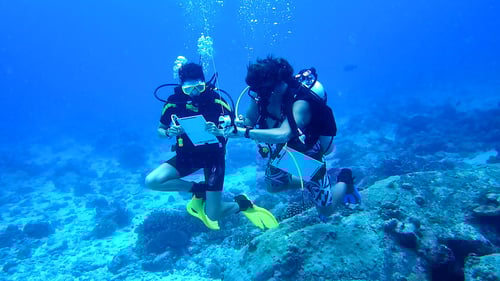 gvi-seychelles-3_1280x720