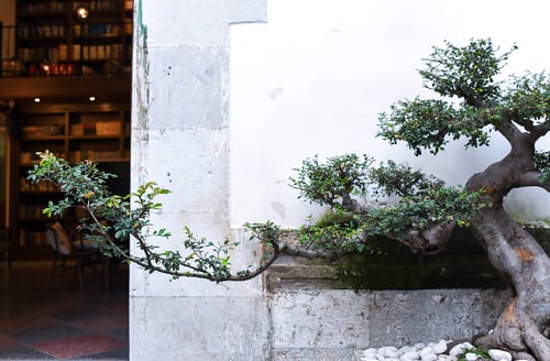 kunming-chronicles-a-day-of-historical-discove