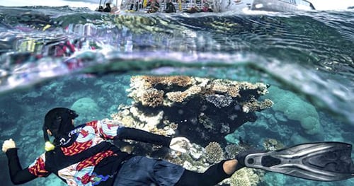 31609-f02a565e-87fa-4e98-883d-71bc758b5cf3-thumbnail