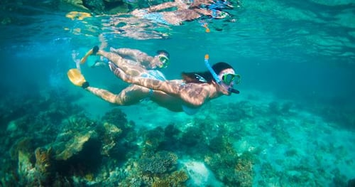 26695-0dda2bdf-76a0-4506-aac7-45e3104934d8-thumbnail