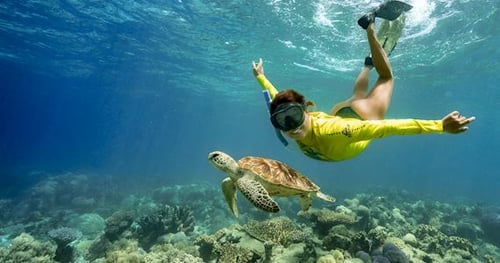 18434-d0f8aebb-4059-4dfd-acd9-223b1272b1fb-thumbnail