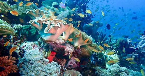 31792-2cae2778-1879-4c9b-9ba7-e0ebbb82dbaa-thumbnail