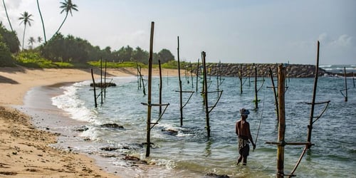 f78153028d7039fe1d0d312857c3eedf