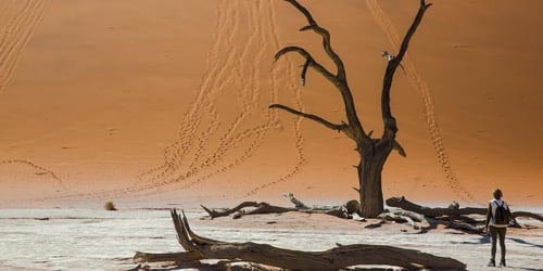 cd278c6de55371878cfce0c23d879c8b