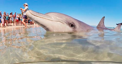 35476-ca620da1-632b-408c-8d5b-7d6097e57c01-thumbnail