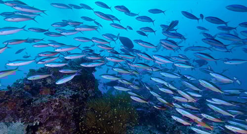 bv-product-web-gallery_009