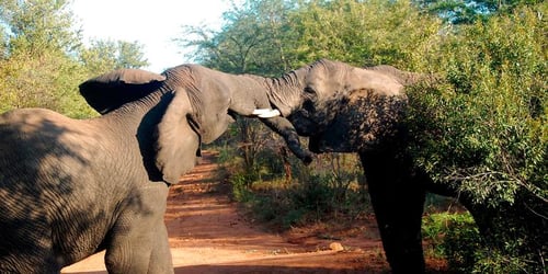 a7fce3ea6f6b079e9f0b5a848f6f3e17