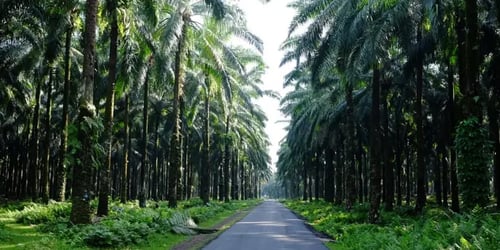 40068566ff900db45d52b149173b28db