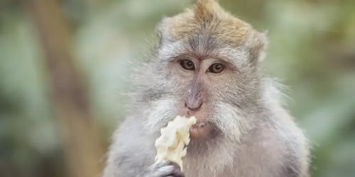 03810fb8679ec460611a1e94dca88873