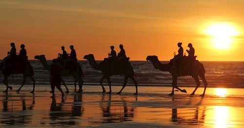 35988-8e60fe17-8332-4a19-8ea1-f4ea84e2d9f5-thumbnail