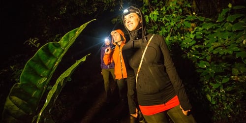 3ec3f52478d7a09b0ab57f1de0c4ec6b