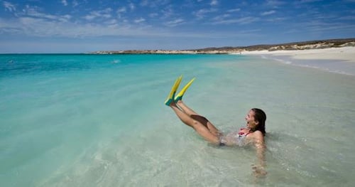 41658-9bc3b784-4563-4e77-b823-fe44f0fee61d-thumbnail