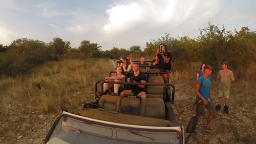 gopr1872-animal-spotting-1280x720px