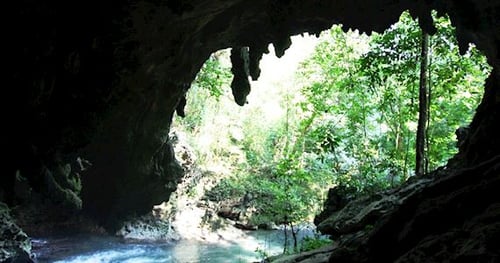 42812-62201ac9-1c3d-49f1-9b28-8e29d17cc88d-thumbnail