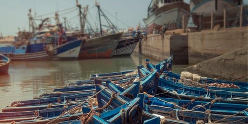 2e3c5cfedf44ad3f5843fc372902d406