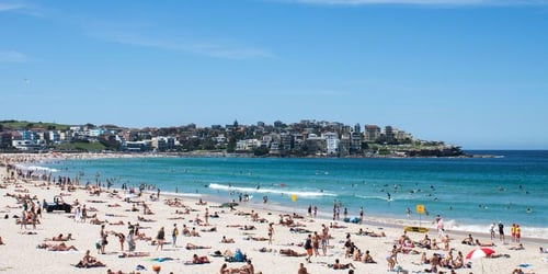 9d25c085db8023c5a39b00063658f6e8