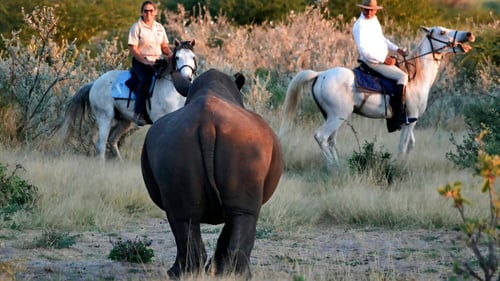 save_botswana_grasslands_1