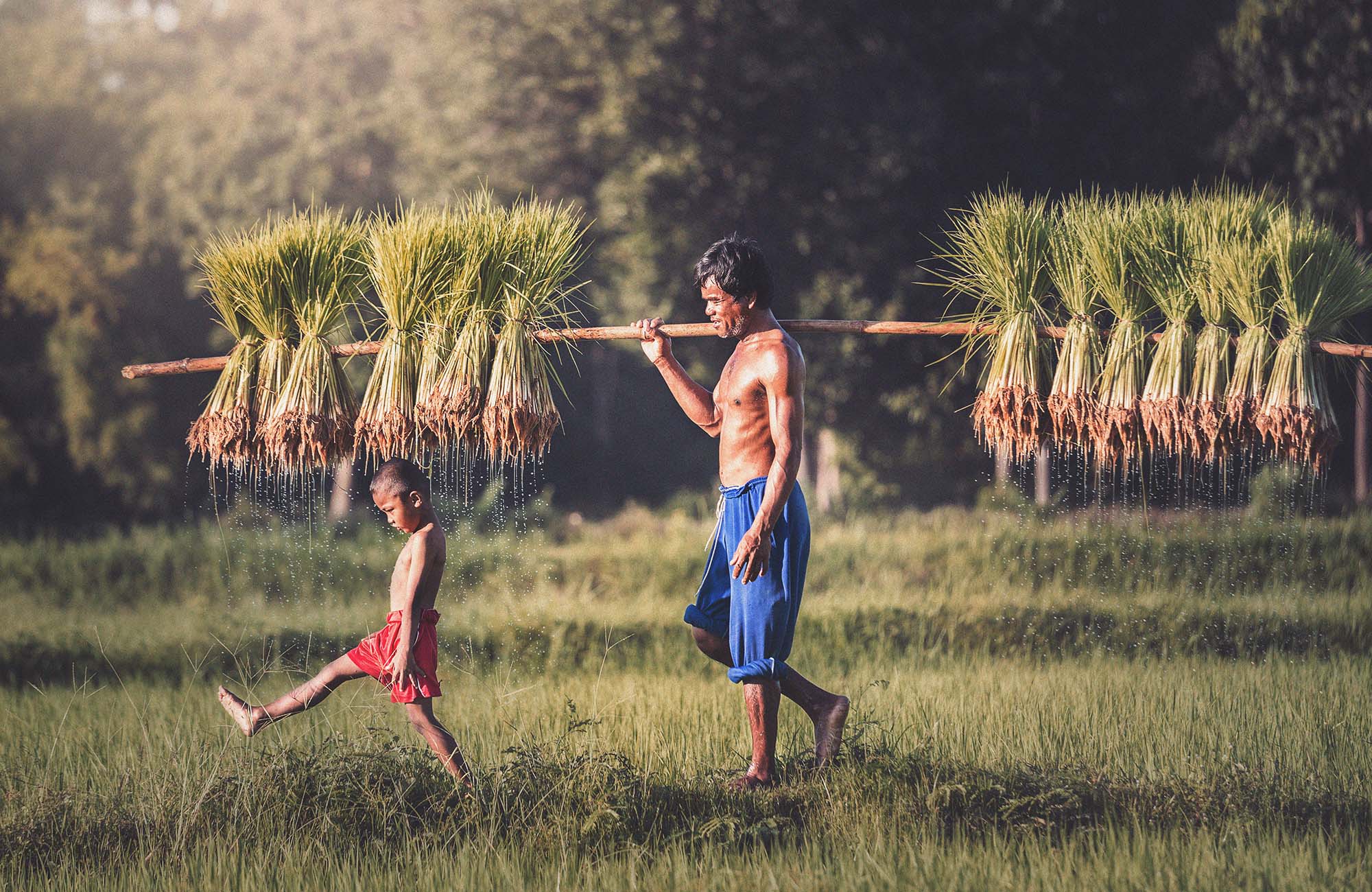 5 grunde til at besøge Cambodja