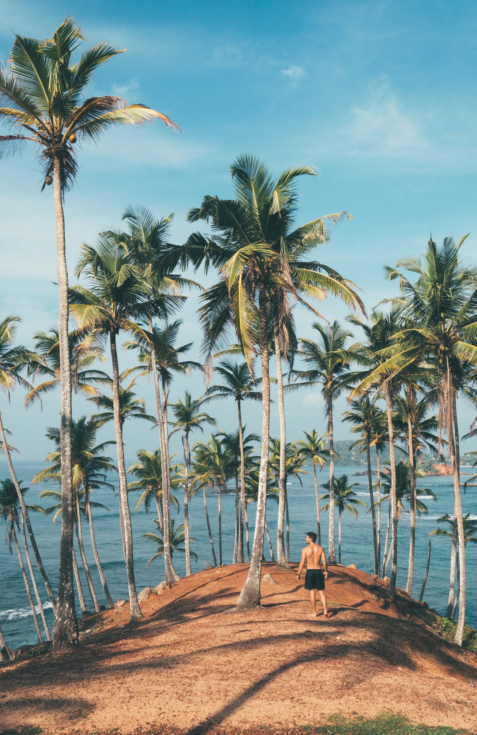 sri-lanka-man-on-edge-pamltrees-sidebar