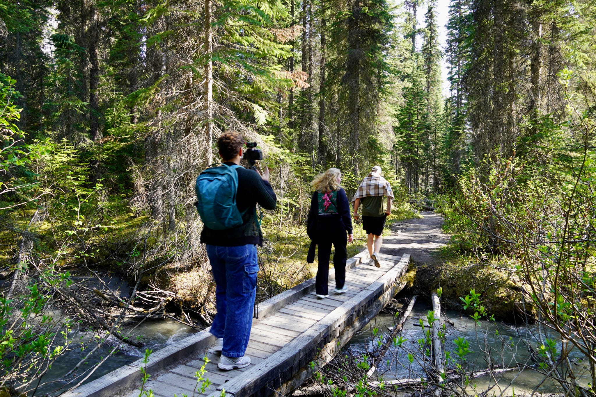 Rejsende går på en træbro over en bæk med træer på begge sider. 