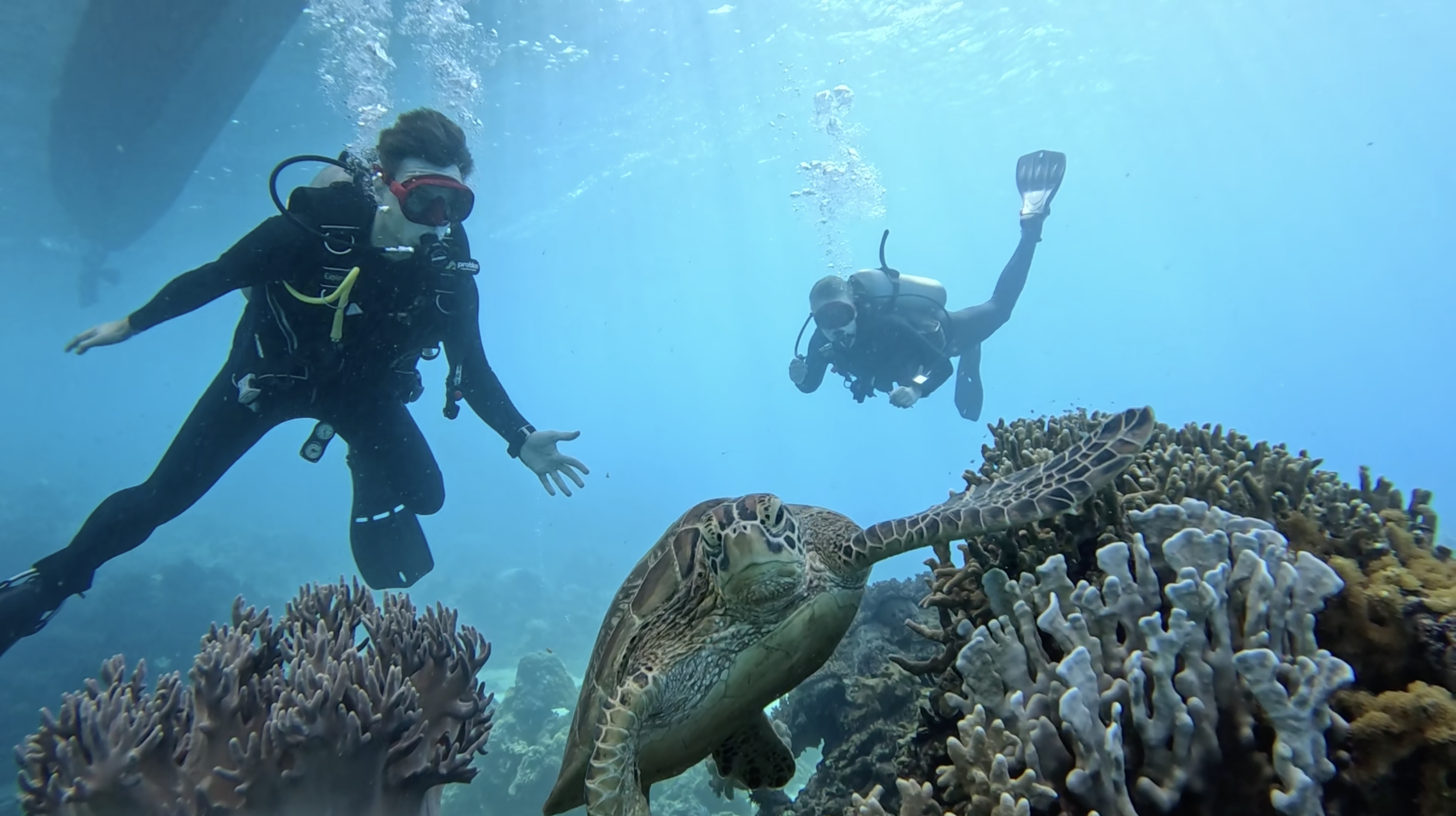 Paluch og Momme som dykker på Filippinerne 