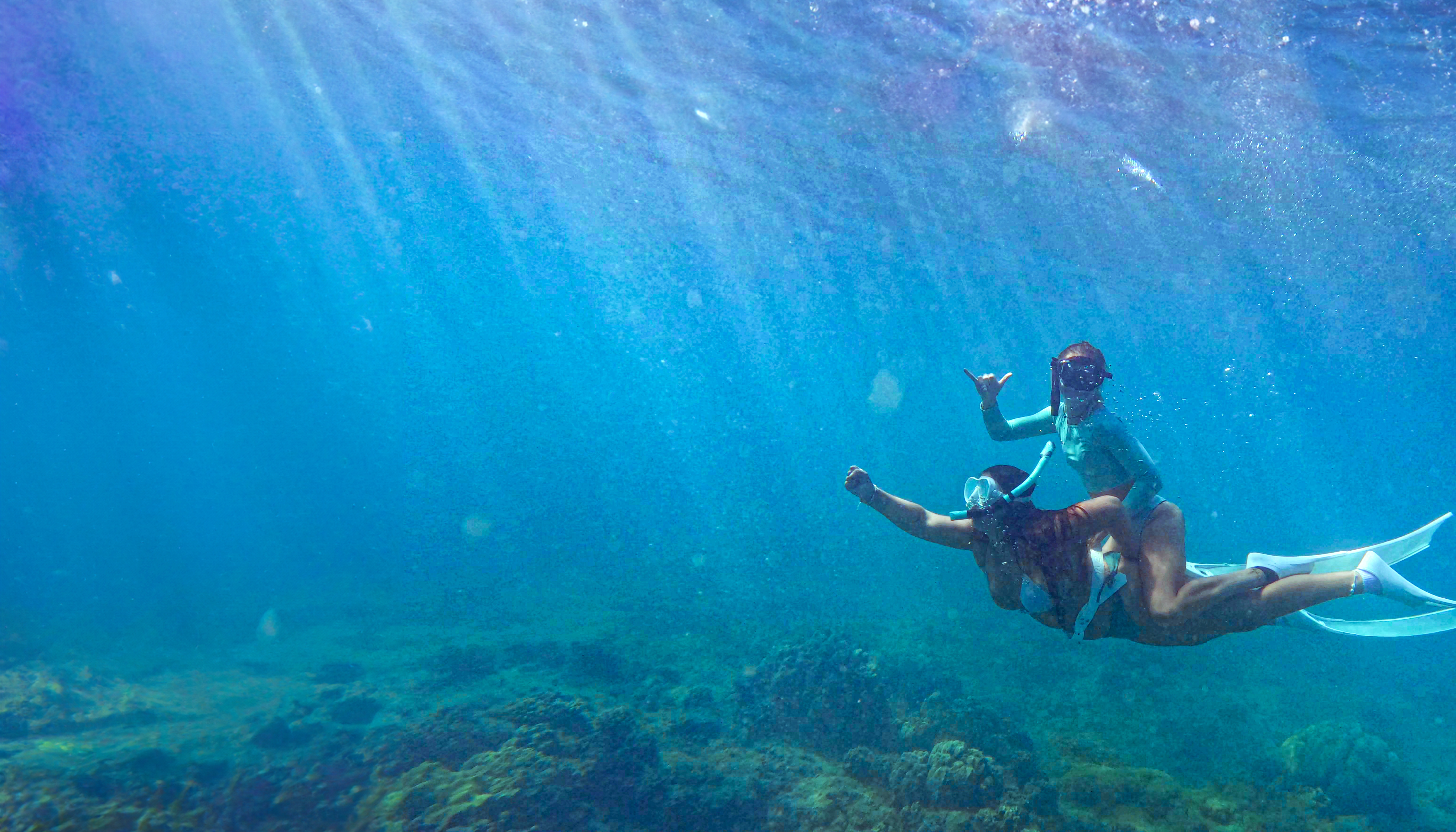 Microsoftteams Image (8)