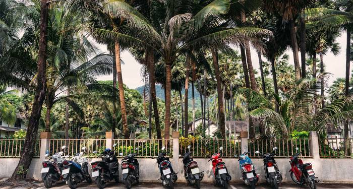 phuket-thailand-scooters-parked-palm-trees-cover